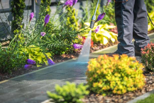 Best Gutter Cleaning  in Shady Shores, TX